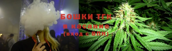 прущий лед Абаза