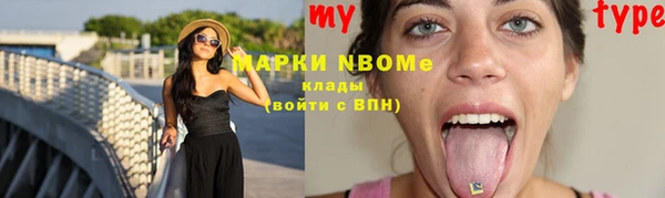 гашик Алексеевка