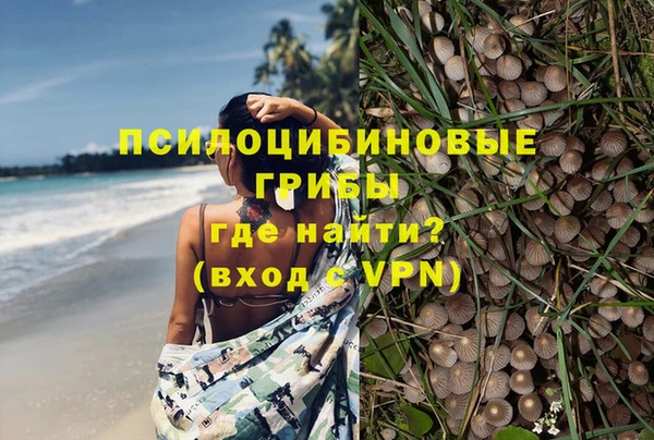 спиды Алексин