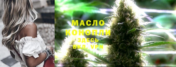 гашик Алексеевка