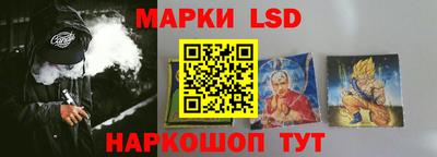 стаф Можга