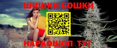 стаф Можга