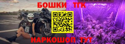 стаф Можга