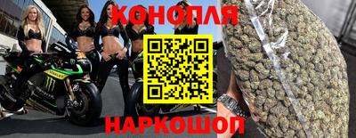 стаф Можга