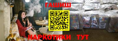 стаф Можга