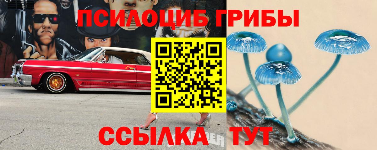 Галлюциногенные грибы мухоморы  Вход с VPN  Дубна 