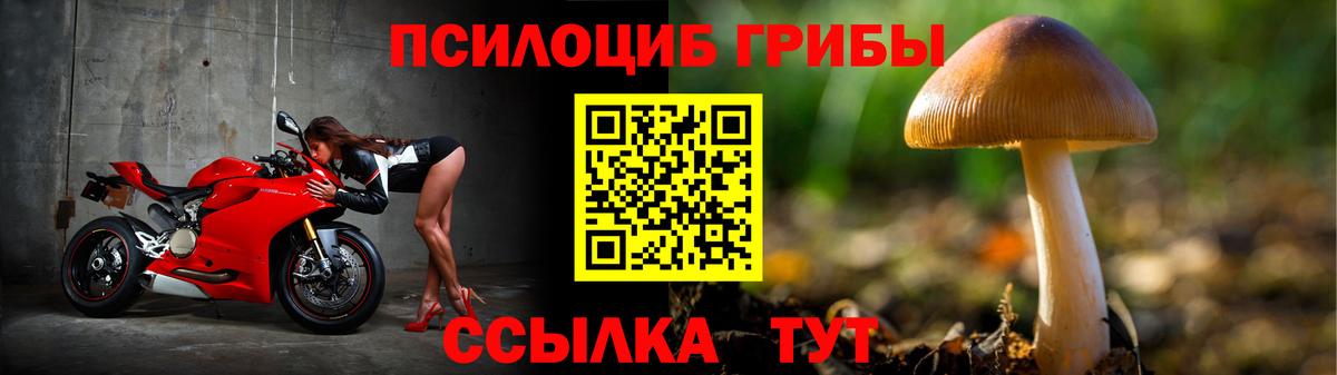 Псилоцибиновые грибы MAGIC MUSHROOMS Дубна